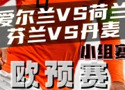 开云体育登录-芬兰战胜爱尔兰，取得晋级的希望