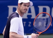 开云官网-关于美国网球队翻盘意大利网球队，穆雷惊艳世界的信息