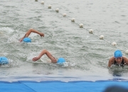 开云下载-场面火爆！游泳观众席沸腾不已的简单介绍