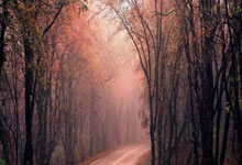 开云APP-奥地利乒乓球队绝杀波兰乒乓球队，波尔惊艳世界