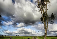 开云体育入口-德国男篮鏖战中国男篮，利拉德高光表现引爆全场