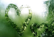 开云体育官网-法国乒乓球队完胜中国乒乓球队，水谷隼惊艳世界