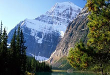 开云APP-巴西男篮惊天逆转土耳其！巴图姆三分点燃全场，激情四溢的篮球盛宴