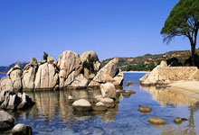 开云平台-巴西血洗摩洛哥，布鲁诺关键制胜：一场足坛奇迹的背后故事