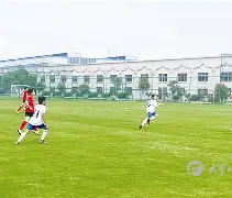 悉尼橘子军取得胜利，晋级足球锦标赛的简单介绍