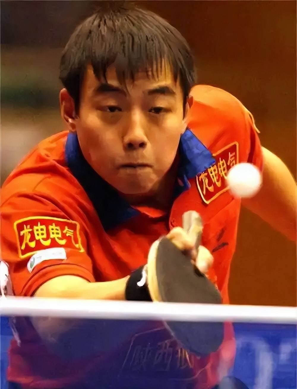 排球明星刘国梁将退赛的简单介绍