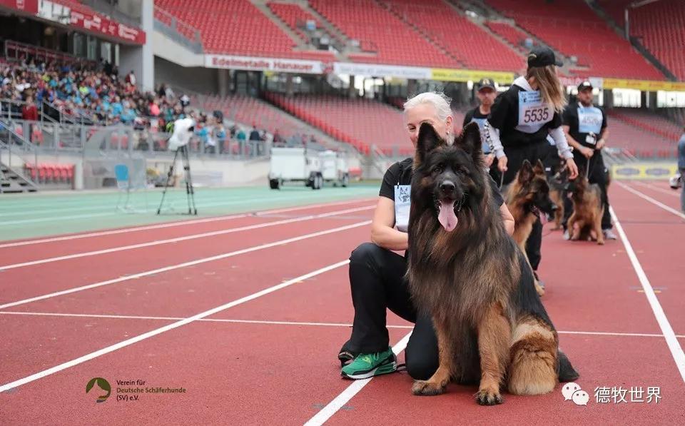 德国选手赛场表现抢眼，各路好手仰慕